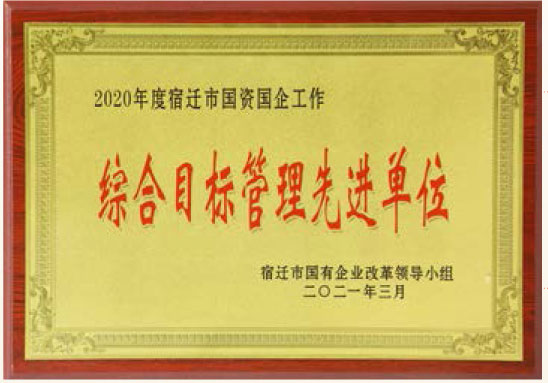 2020年度宿迁市国资国企事情综合目的治理先进单位